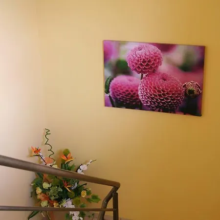 Noclegi 24h Homestay Kalisz (Greater Poland)