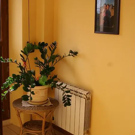 Noclegi 24h Homestay *